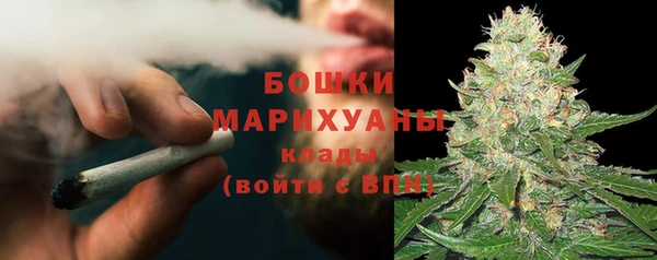 индика Белокуриха