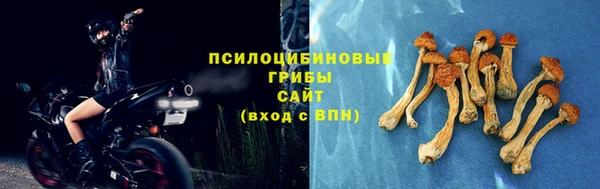 прущий лед Белоозёрский