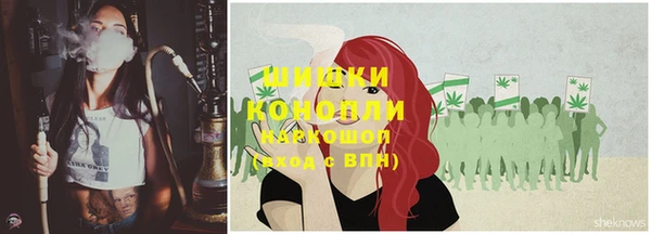 индика Белокуриха
