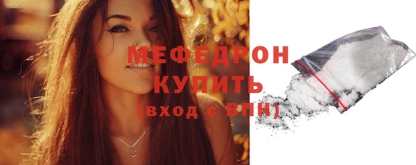 индика Белокуриха