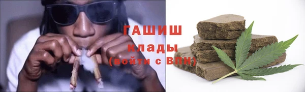 индика Белокуриха