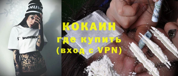 индика Белокуриха