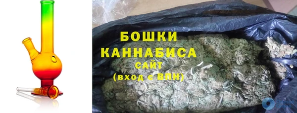 индика Белокуриха