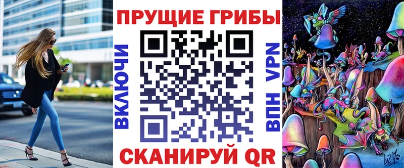 OMG рабочий сайт  цена   Колпашево  Псилоцибиновые грибы Psilocybine cubensis 